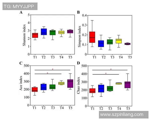 上海篮球队在大师赛中的团队协作表现分析与评价
